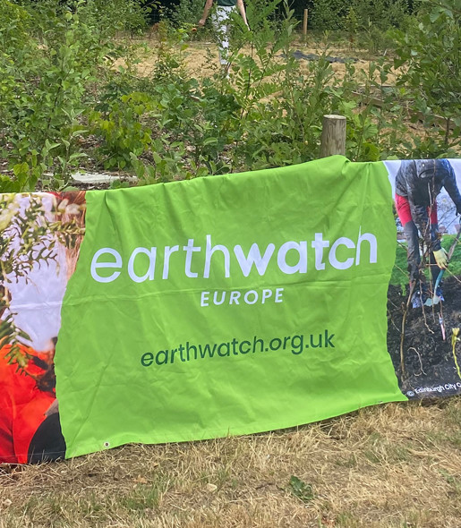 Tiny Forest planted in Haringey to provide miniature woodland for local community and wildlife